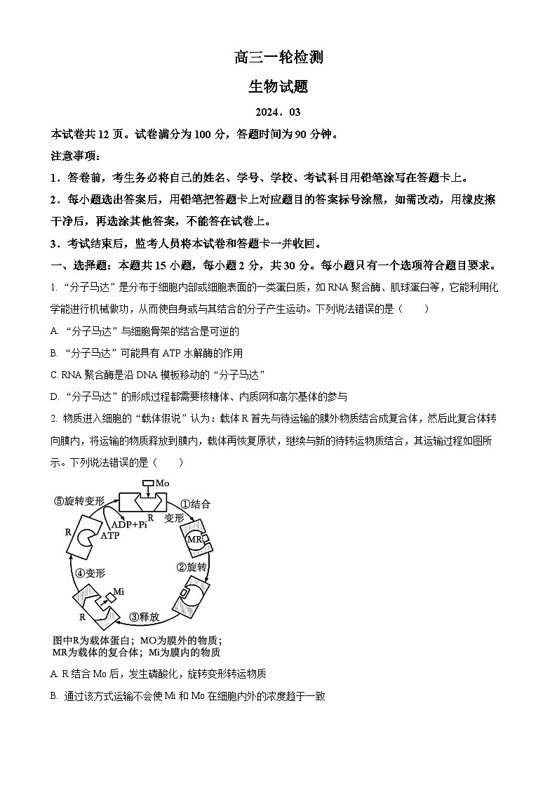 山东省泰安市2024届高三下学期3月一模生物试卷（Word版附解析）01