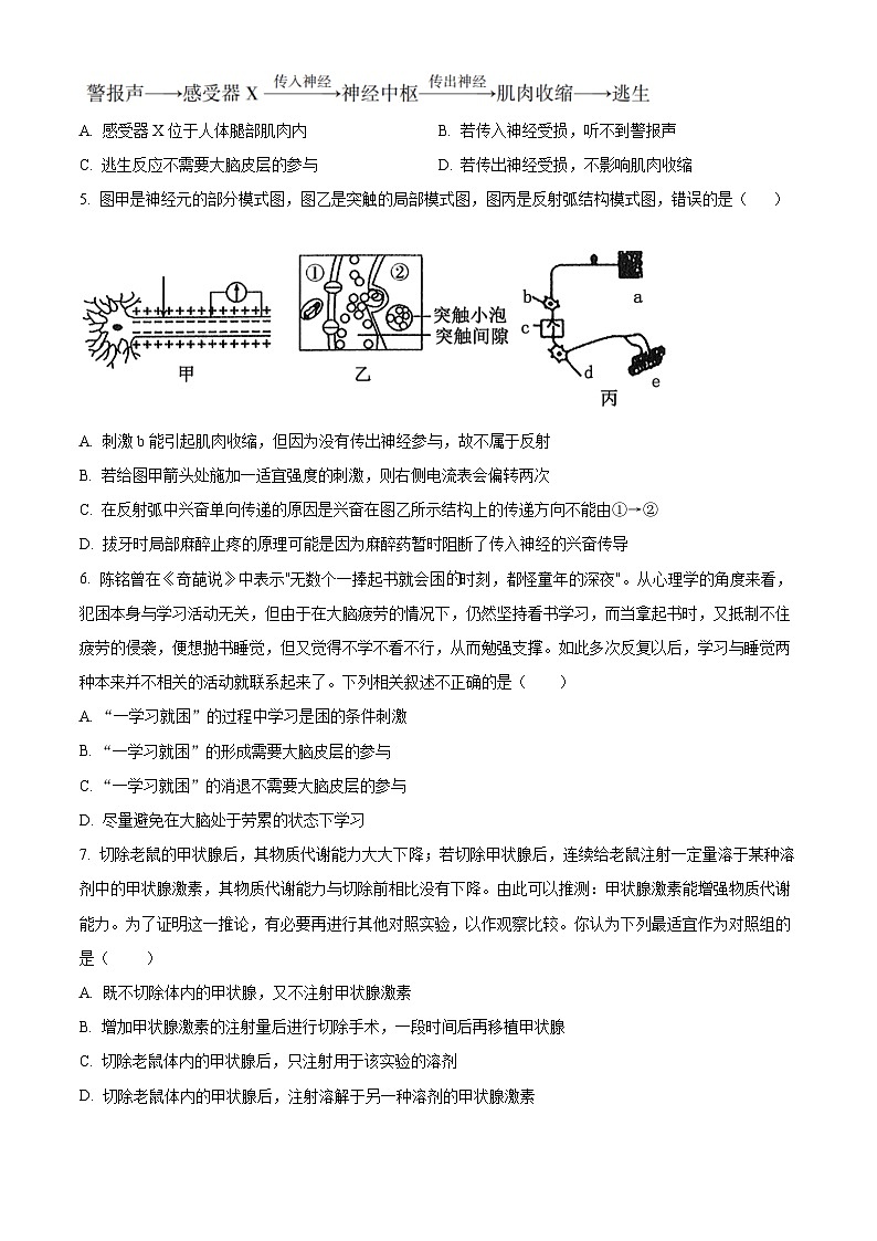 广东省人大附中深圳学校2022-2023学年高二上学期期末生物试题（原卷版+解析版）02