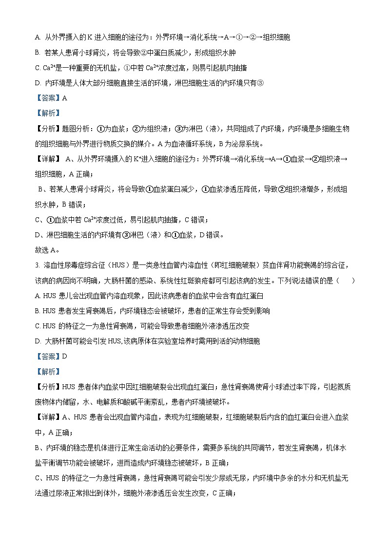 广东省人大附中深圳学校2022-2023学年高二上学期期末生物试题（原卷版+解析版）02