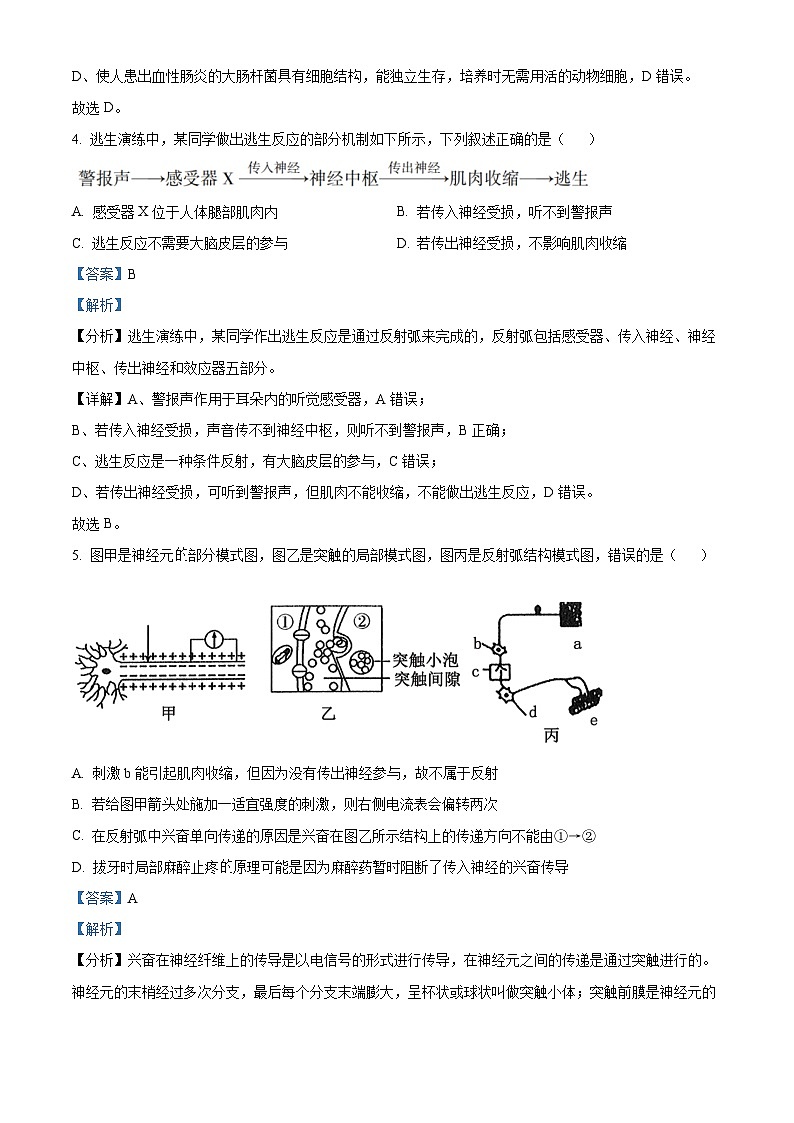 广东省人大附中深圳学校2022-2023学年高二上学期期末生物试题（原卷版+解析版）03