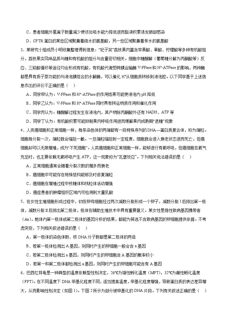 2024年九省新高考第二次模拟考试卷：生物（安徽卷）（考试版）A4第2页