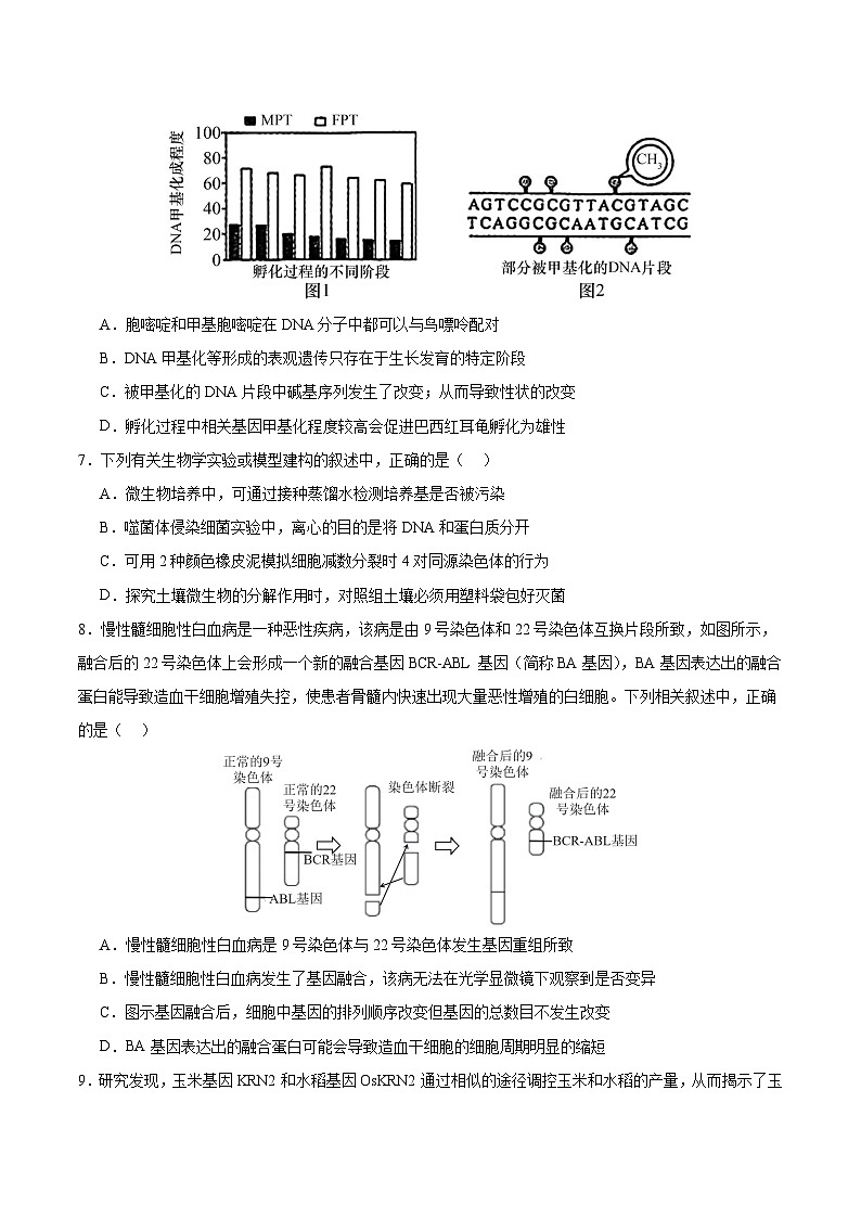 2024年九省新高考第二次模拟考试卷：生物（安徽卷）（考试版）A4第3页