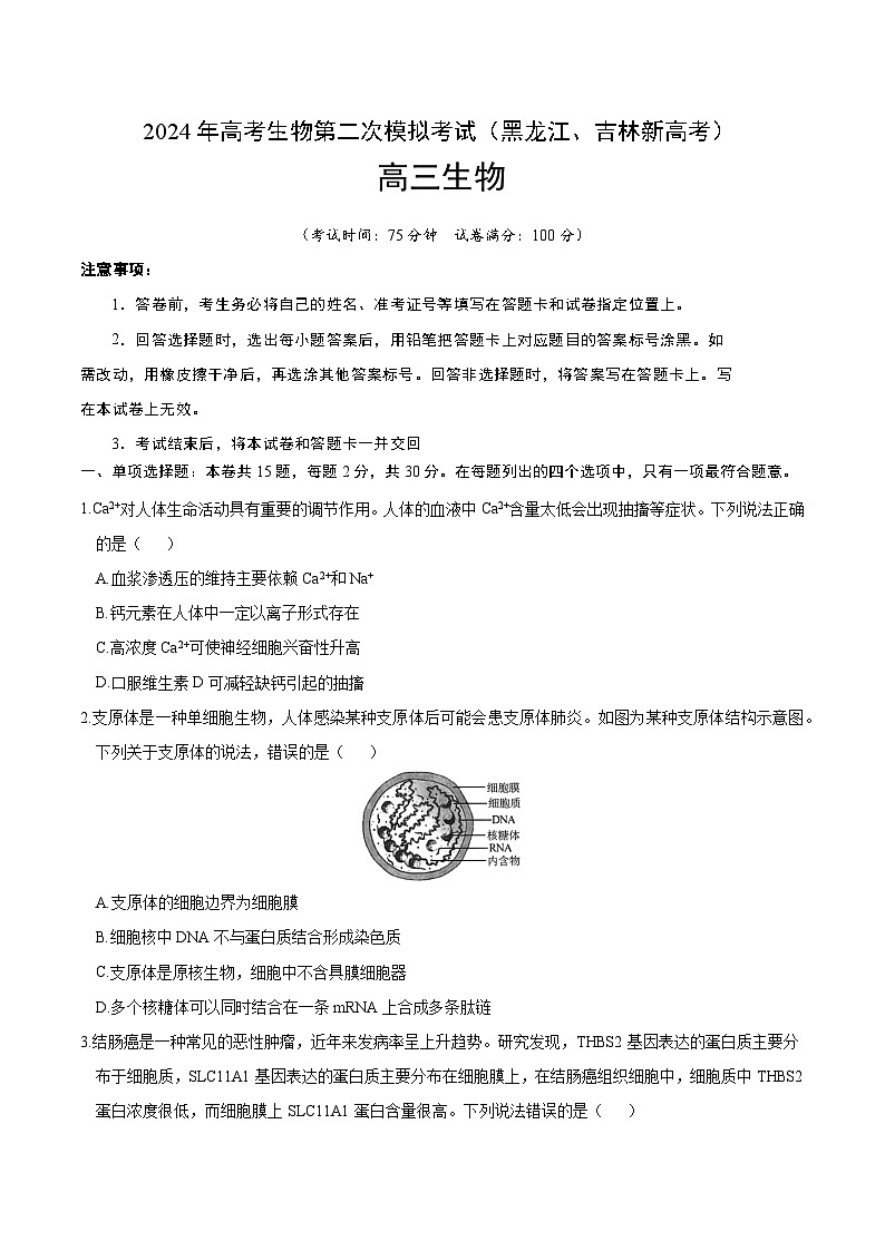 2024年九省新高考第二次模拟考试卷：生物（黑龙江、吉林卷）（考试版A4）01