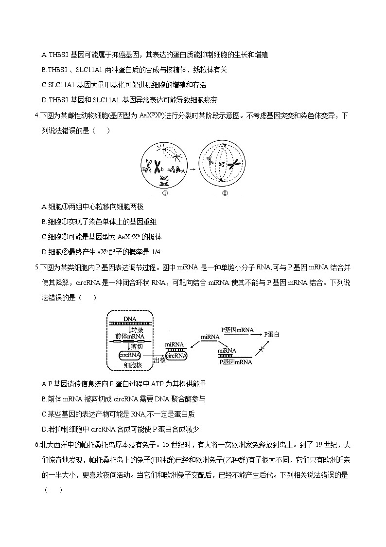 2024年九省新高考第二次模拟考试卷：生物（黑龙江、吉林卷）（考试版A4）02