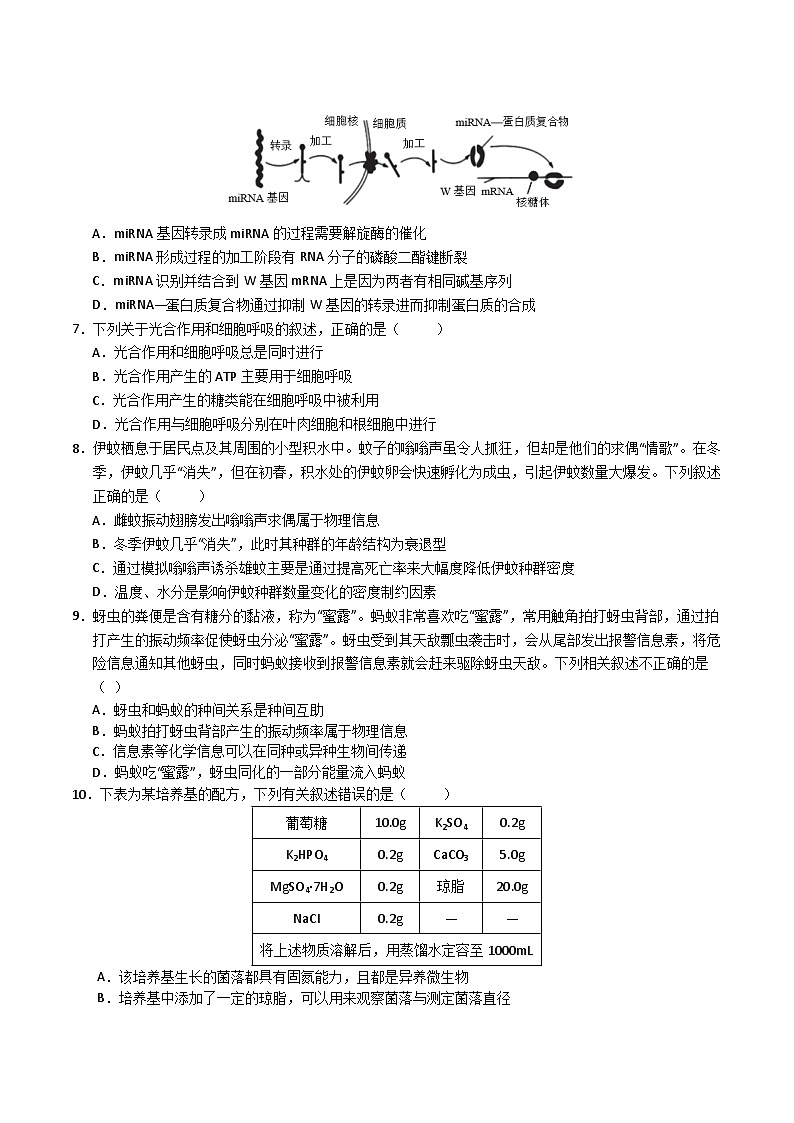 2024年九省新高考第二次模拟考试卷：生物（广西卷）（考试版A4）02