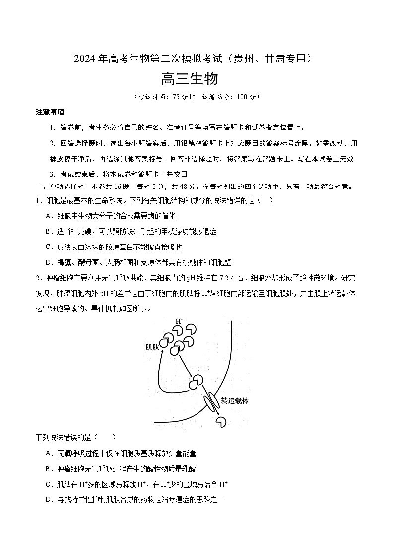 2024年九省新高考第二次模拟考试卷：生物（贵州、甘肃专用）（考试版）A401