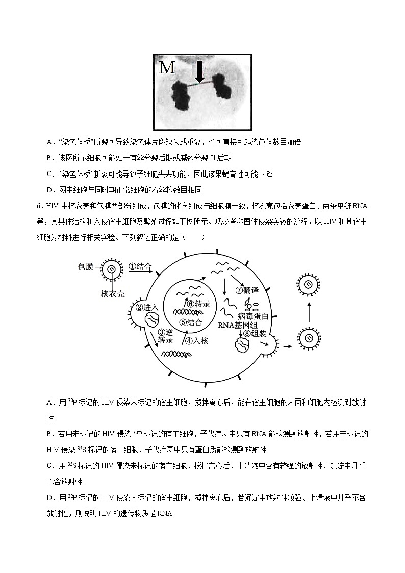2024年九省新高考第二次模拟考试卷：生物（贵州、甘肃专用）（考试版）A403