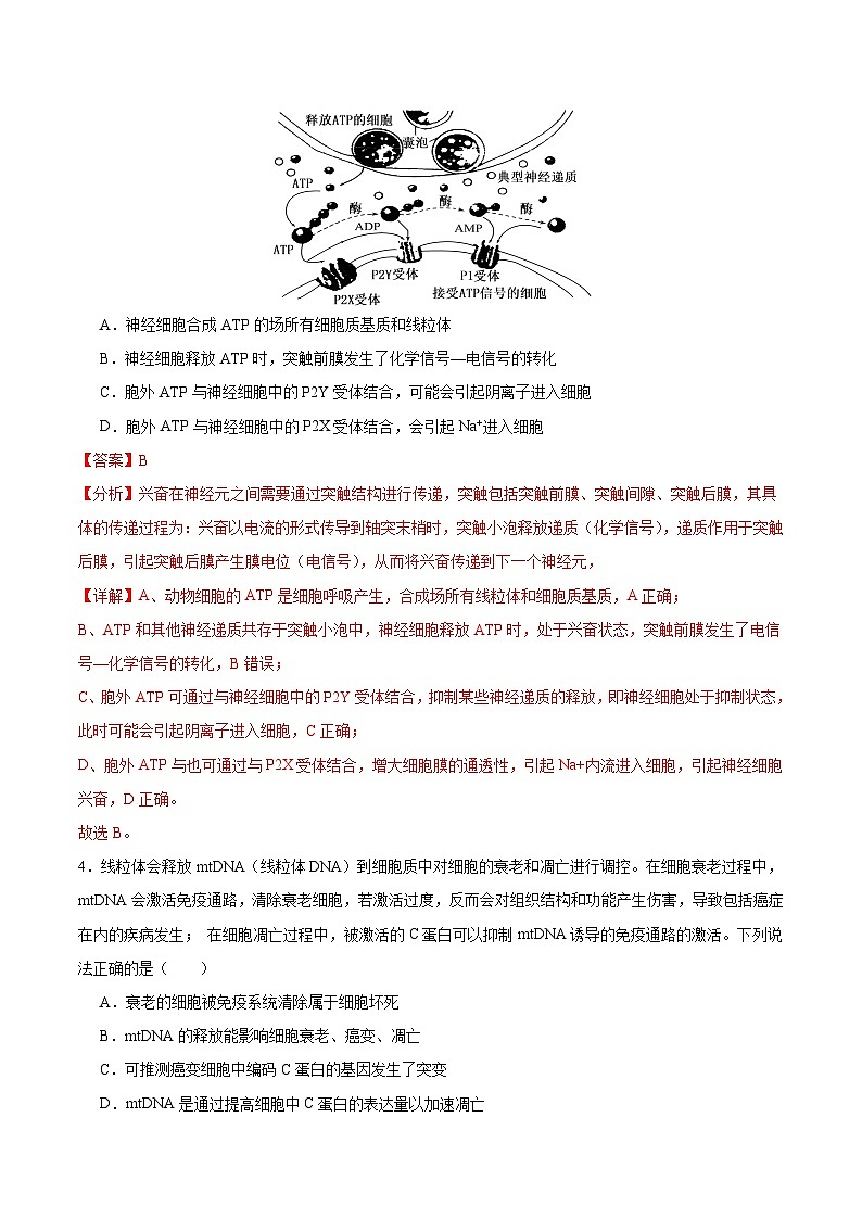 2024年九省新高考第二次模拟考试卷：生物（贵州、甘肃专用）（全解全析）03