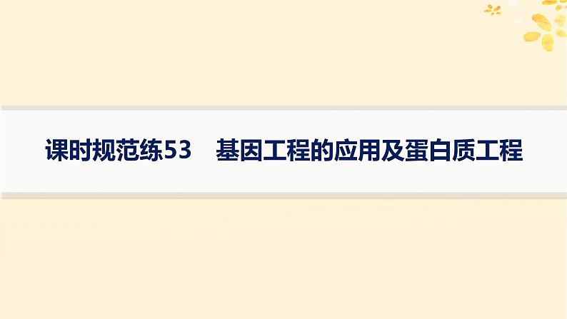 备战2025届新高考生物一轮总复习第10单元生物技术与工程课时规范练53基因工程的应用及蛋白质工程课件01