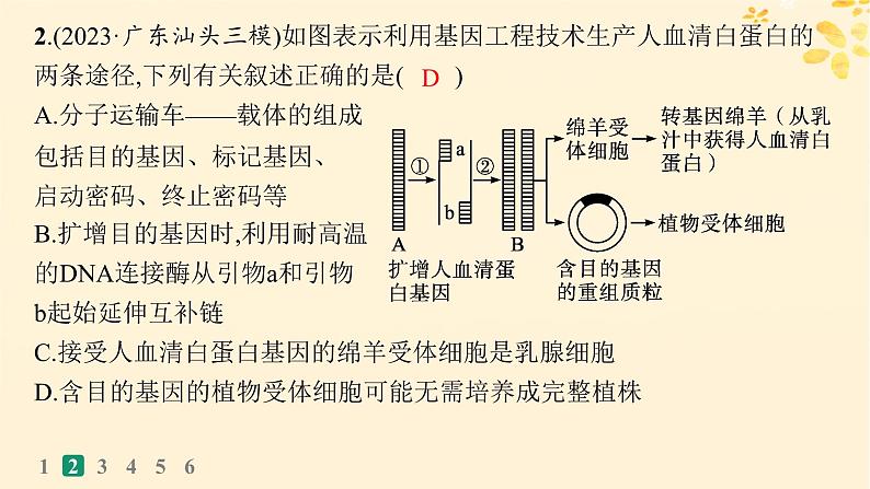 备战2025届新高考生物一轮总复习第10单元生物技术与工程课时规范练53基因工程的应用及蛋白质工程课件06