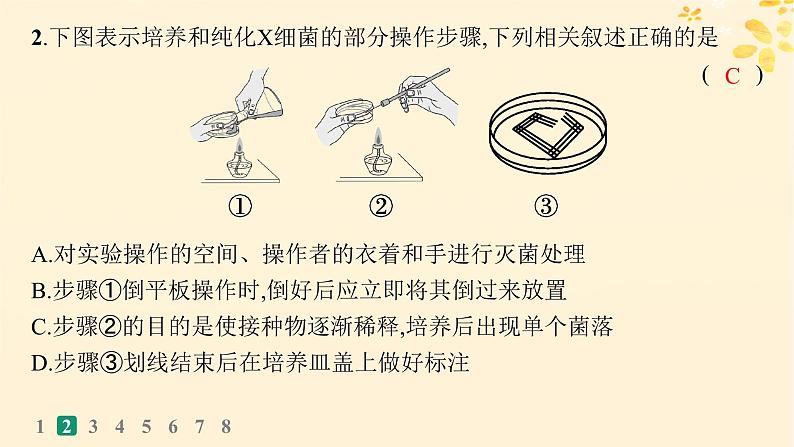 备战2025届新高考生物一轮总复习第10单元生物技术与工程课时规范练48微生物的培养技术及其应用课件第5页