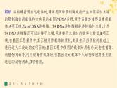 备战2025届新高考生物一轮总复习第10单元生物技术与工程课时规范练52基因工程的基本工具与操作程序课件