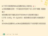 备战2025届新高考生物一轮总复习第10单元生物技术与工程课时规范练52基因工程的基本工具与操作程序课件