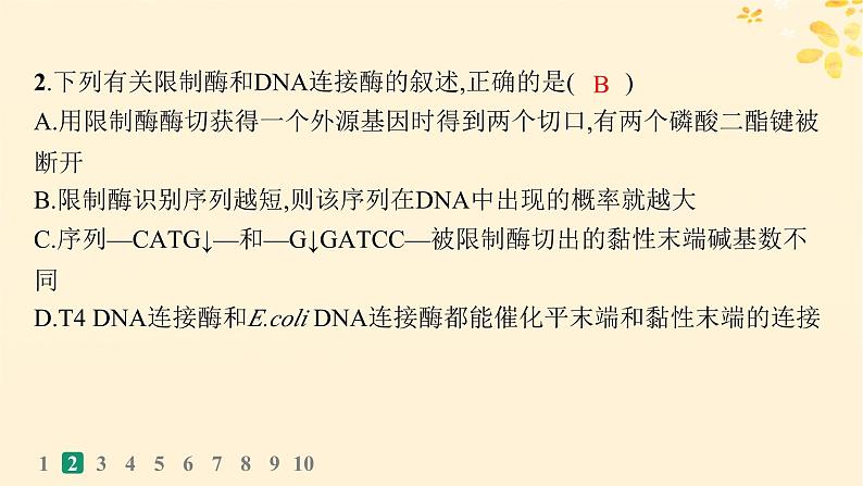 备战2025届新高考生物一轮总复习第10单元生物技术与工程课时规范练52基因工程的基本工具与操作程序课件05