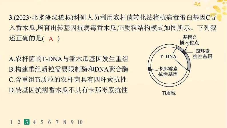 备战2025届新高考生物一轮总复习第10单元生物技术与工程课时规范练52基因工程的基本工具与操作程序课件06