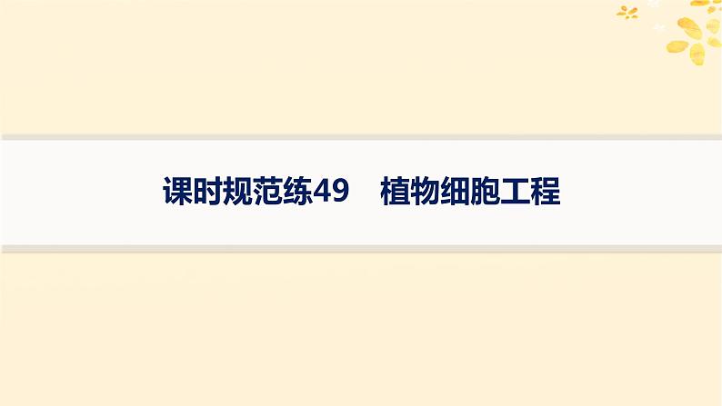 备战2025届新高考生物一轮总复习第10单元生物技术与工程课时规范练49植物细胞工程课件01