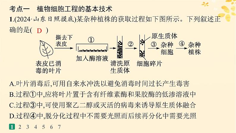 备战2025届新高考生物一轮总复习第10单元生物技术与工程课时规范练49植物细胞工程课件03