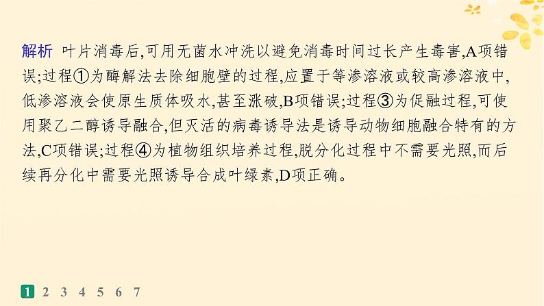 备战2025届新高考生物一轮总复习第10单元生物技术与工程课时规范练49植物细胞工程课件04