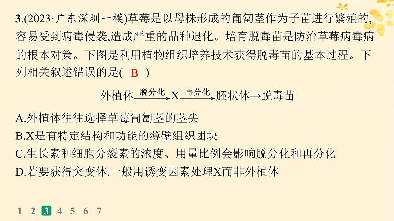 备战2025届新高考生物一轮总复习第10单元生物技术与工程课时规范练49植物细胞工程课件07