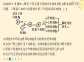备战2025届新高考生物一轮总复习第10单元生物技术与工程课时规范练54生物技术的安全性与伦理问题课件