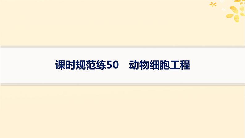 备战2025届新高考生物一轮总复习第10单元生物技术与工程课时规范练50动物细胞工程课件01