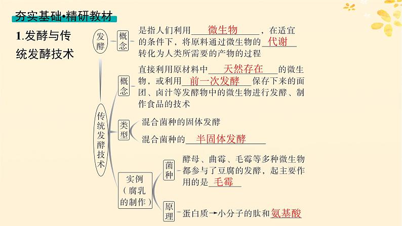 备战2025届新高考生物一轮总复习第10单元生物技术与工程第47讲传统发酵技术的应用与发酵工程课件04