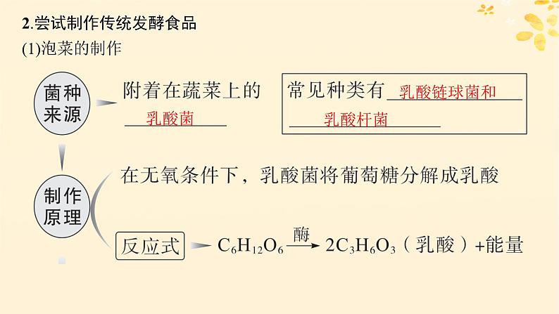 备战2025届新高考生物一轮总复习第10单元生物技术与工程第47讲传统发酵技术的应用与发酵工程课件05