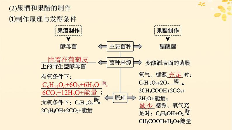 备战2025届新高考生物一轮总复习第10单元生物技术与工程第47讲传统发酵技术的应用与发酵工程课件08