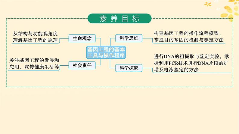 备战2025届新高考生物一轮总复习第10单元生物技术与工程第52讲基因工程的基本工具与操作程序课件第2页