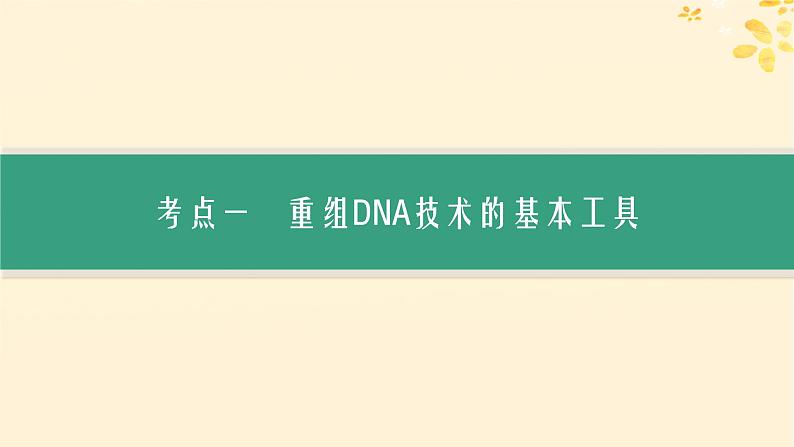 备战2025届新高考生物一轮总复习第10单元生物技术与工程第52讲基因工程的基本工具与操作程序课件第3页