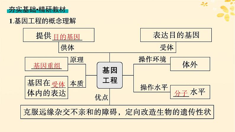 备战2025届新高考生物一轮总复习第10单元生物技术与工程第52讲基因工程的基本工具与操作程序课件第4页