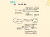 备战2025届新高考生物一轮总复习第10单元生物技术与工程第52讲基因工程的基本工具与操作程序课件