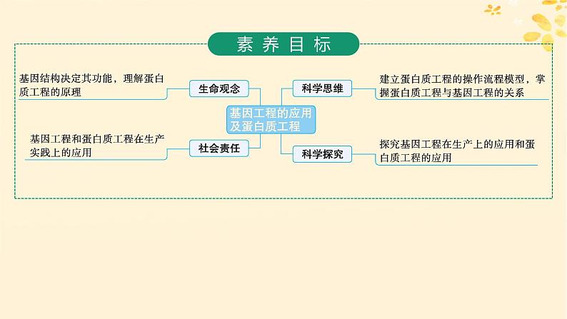 备战2025届新高考生物一轮总复习第10单元生物技术与工程第53讲基因工程的应用及蛋白质工程课件02