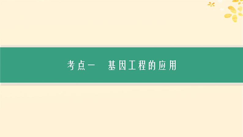 备战2025届新高考生物一轮总复习第10单元生物技术与工程第53讲基因工程的应用及蛋白质工程课件03