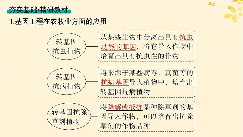 备战2025届新高考生物一轮总复习第10单元生物技术与工程第53讲基因工程的应用及蛋白质工程课件04