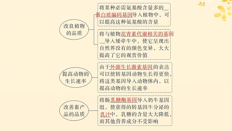 备战2025届新高考生物一轮总复习第10单元生物技术与工程第53讲基因工程的应用及蛋白质工程课件05