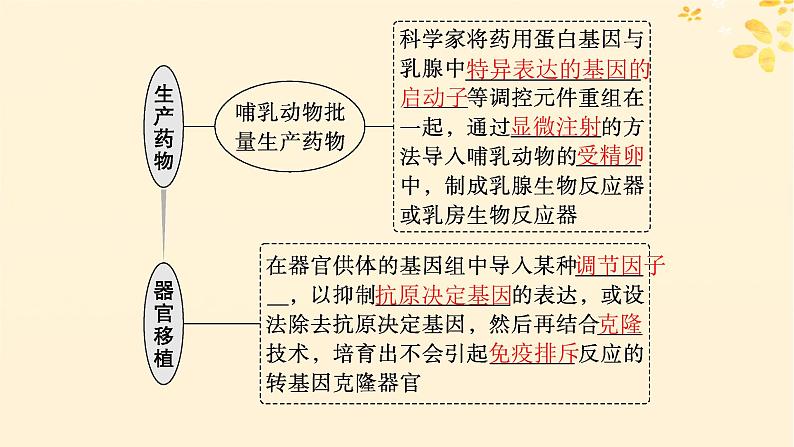 备战2025届新高考生物一轮总复习第10单元生物技术与工程第53讲基因工程的应用及蛋白质工程课件07