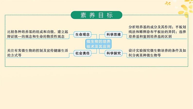 备战2025届新高考生物一轮总复习第10单元生物技术与工程第48讲微生物的培养技术及其应用课件第2页