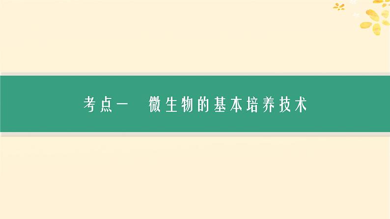 备战2025届新高考生物一轮总复习第10单元生物技术与工程第48讲微生物的培养技术及其应用课件第3页