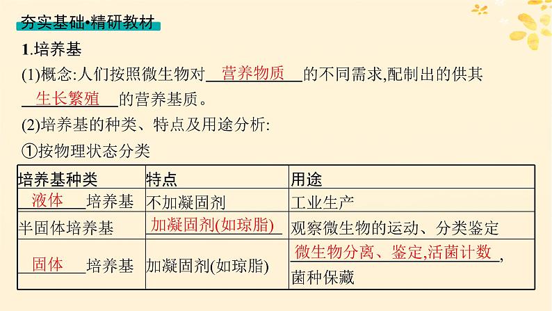 备战2025届新高考生物一轮总复习第10单元生物技术与工程第48讲微生物的培养技术及其应用课件第4页