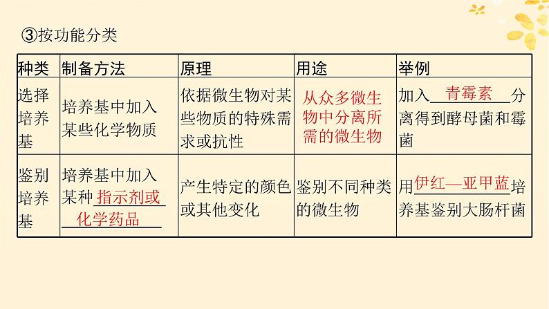 备战2025届新高考生物一轮总复习第10单元生物技术与工程第48讲微生物的培养技术及其应用课件第6页