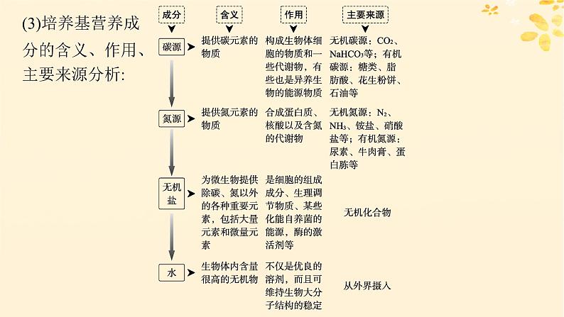 备战2025届新高考生物一轮总复习第10单元生物技术与工程第48讲微生物的培养技术及其应用课件第7页