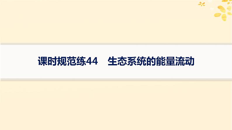 备战2025届新高考生物一轮总复习第9单元生物与环境课时规范练44生态系统的能量流动课件01