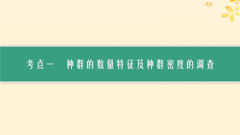 备战2025届新高考生物一轮总复习第9单元生物与环境第41讲种群及其动态课件03