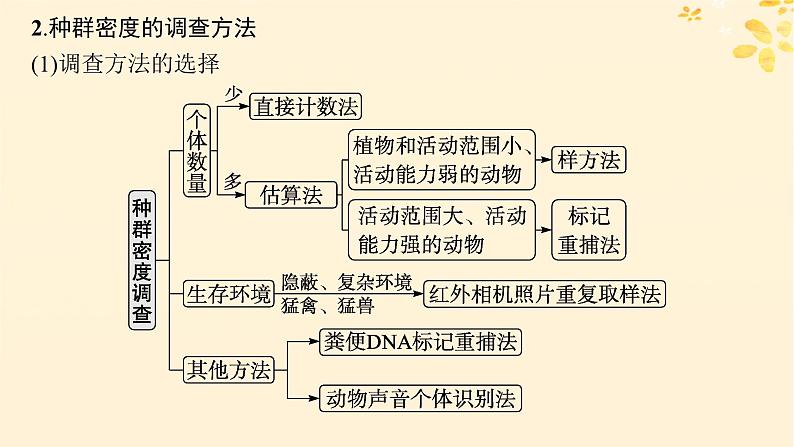 备战2025届新高考生物一轮总复习第9单元生物与环境第41讲种群及其动态课件08