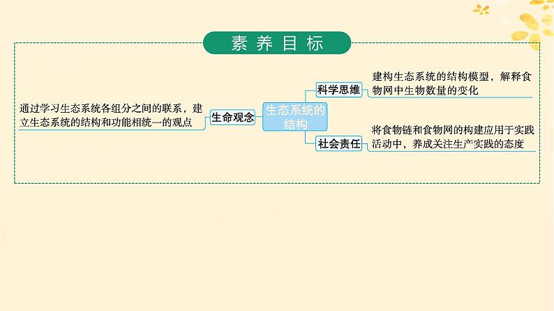 备战2025届新高考生物一轮总复习第9单元生物与环境第43讲生态系统的结构课件第2页