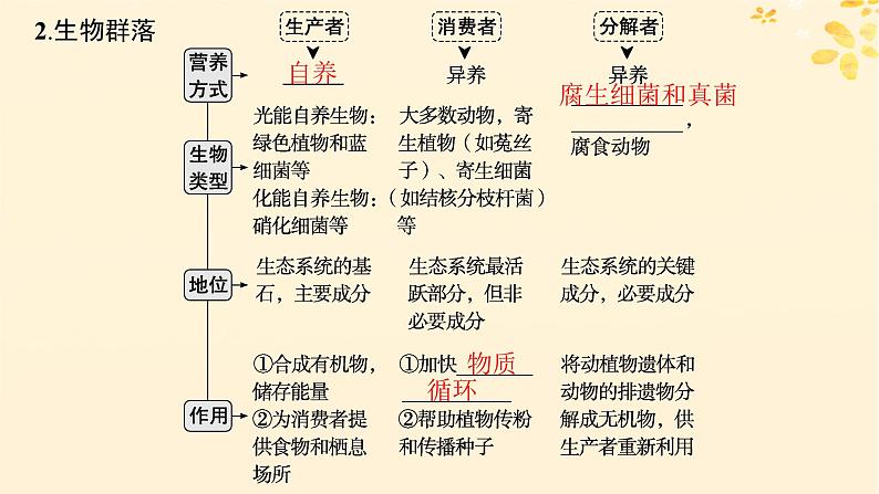 备战2025届新高考生物一轮总复习第9单元生物与环境第43讲生态系统的结构课件第6页