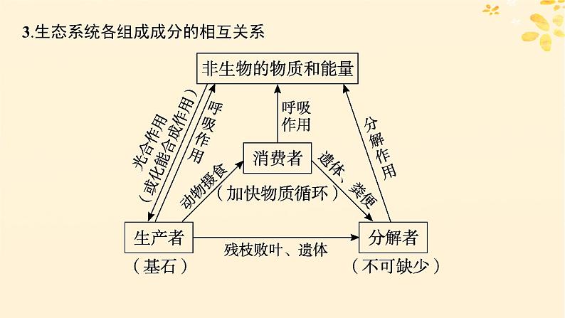 备战2025届新高考生物一轮总复习第9单元生物与环境第43讲生态系统的结构课件第7页