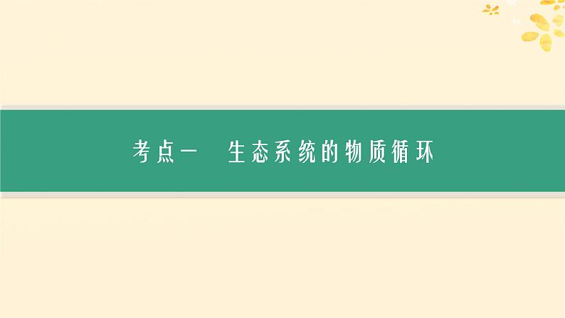 备战2025届新高考生物一轮总复习第9单元生物与环境第45讲生态系统的物质循环信息传递及其稳定性课件03