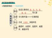 备战2025届新高考生物一轮总复习第9单元生物与环境第45讲生态系统的物质循环信息传递及其稳定性课件